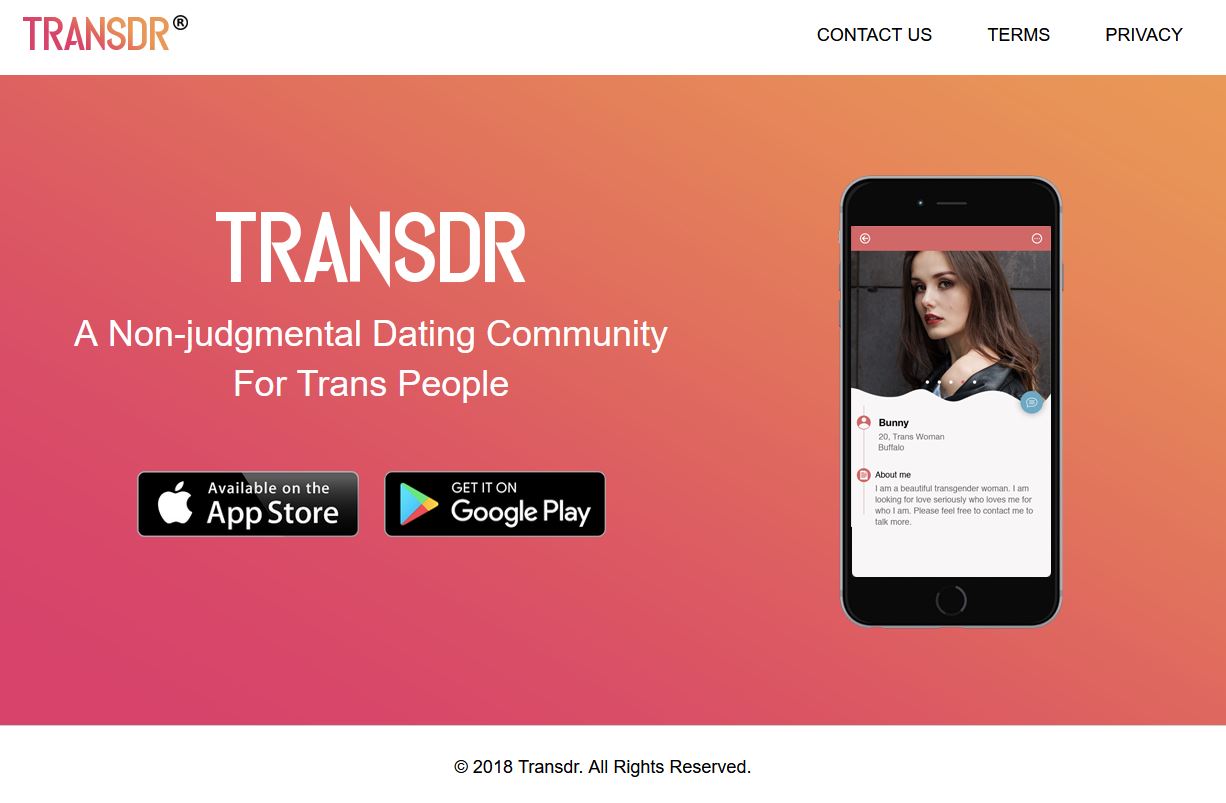 Transdr main page